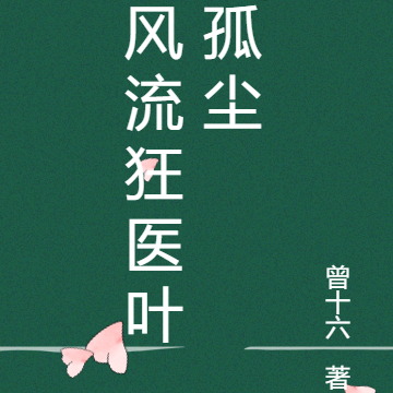风流狂医叶孤尘