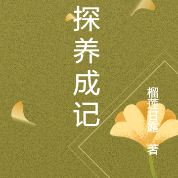 密探养成记