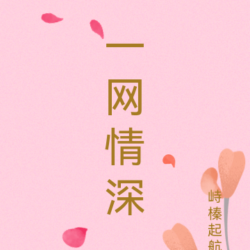 一网情深