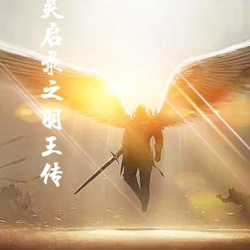 灵启录之羽王传