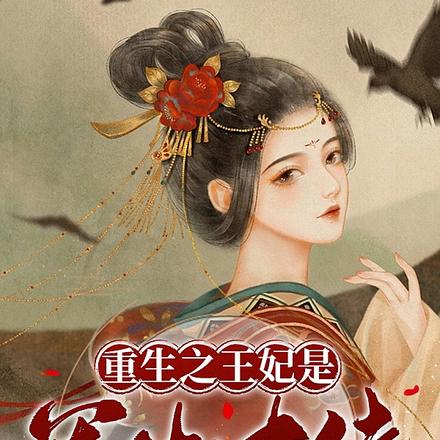 重生之王妃是军火大佬
