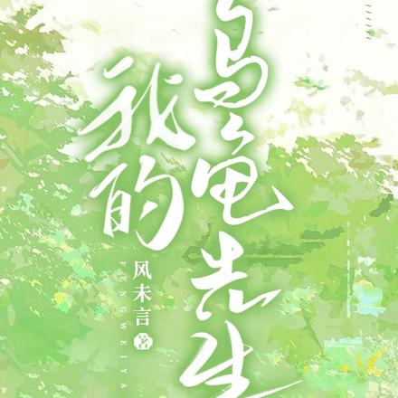 我的乌龟先生
