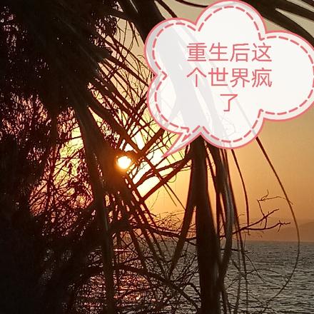 重生后这个世界疯了