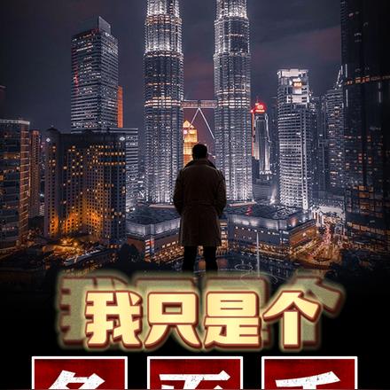 我只是个多面手