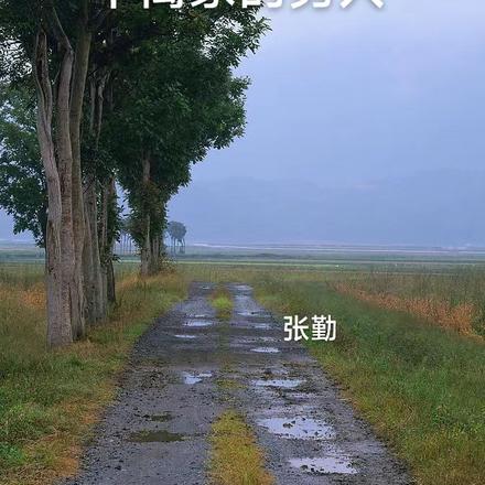 不离家的男人