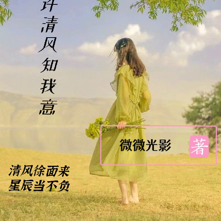 愿许清风知我意