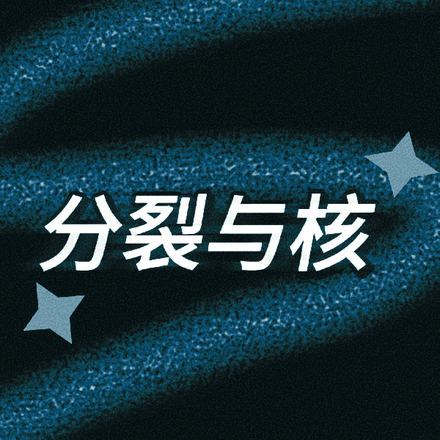 分裂与核