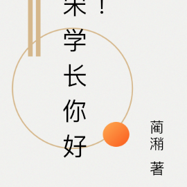 宋学长你好!