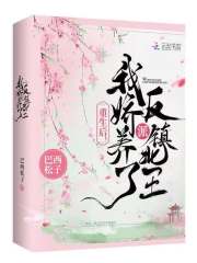 重生后,我娇养了反派镇北王
