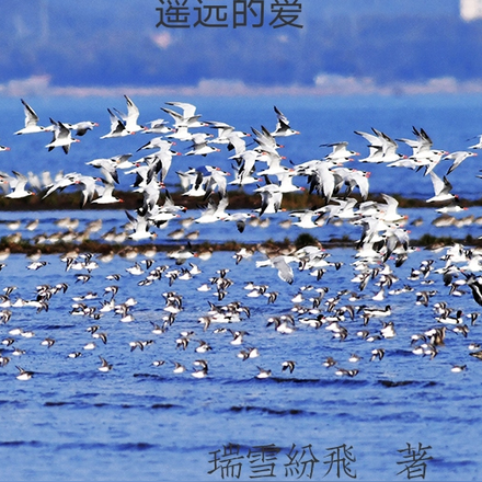 遥远的爱