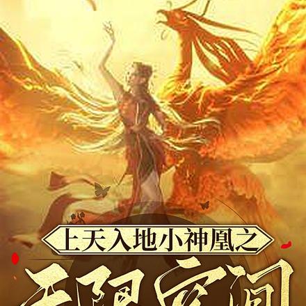 上天入地小神凰之无限空间