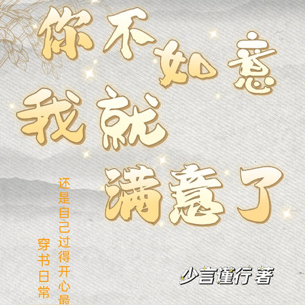 你不如意我就满意了