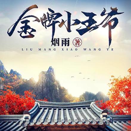 金牌小王爷