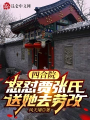 四合院:怒怼贾张氏,送她去劳改