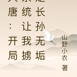 大唐:开局系统让我掳走长孙无垢
