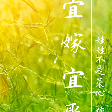 宜嫁宜娶