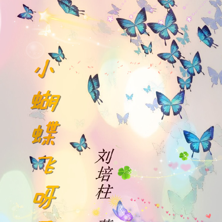 小蝴蝶飞呀飞