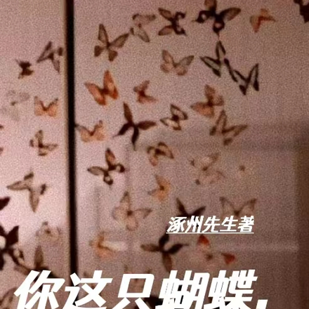 你这只蝴蝶,令我上瘾