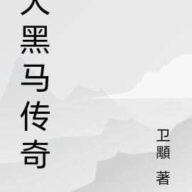 大黑马传奇