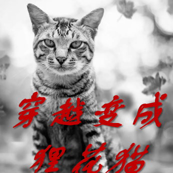 穿越变成狸花猫