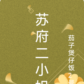 苏府二小姐