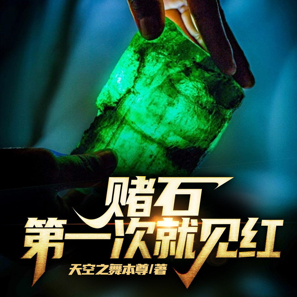 赌石:第一次就见红