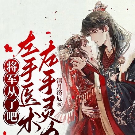 左手医术右手灵力,将军从了吧