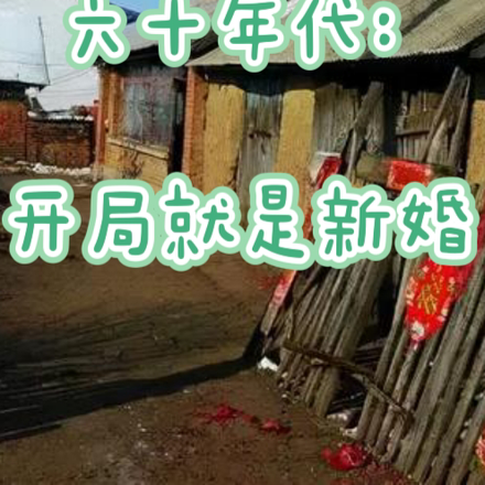 六十年代:开局就是新婚