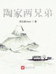 陶家传