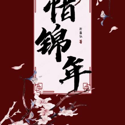 惜锦年
