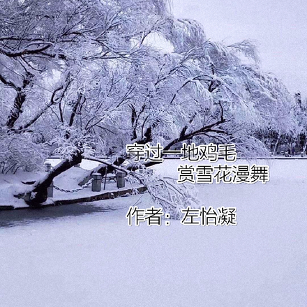 穿过一地鸡毛赏雪花漫舞