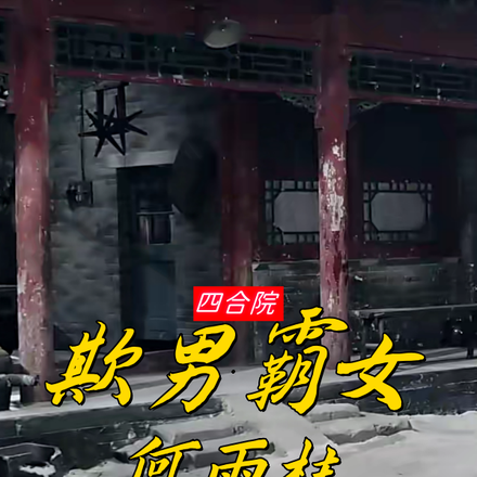 四合院小说主角何雨豪