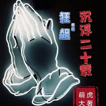 狂飙:沉浮二十载