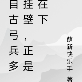自古弓兵多挂壁,正是在下