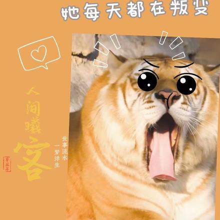 间谍少女:她每天都在叛变