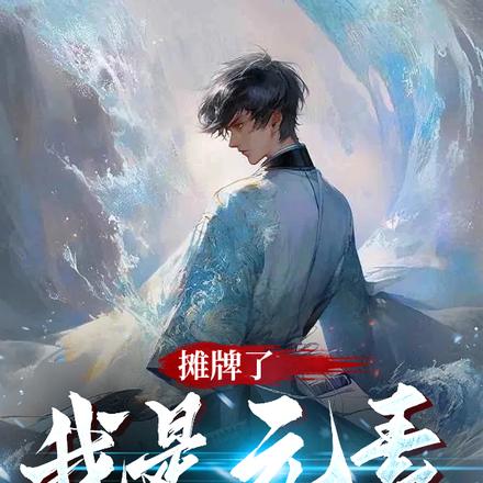 摊牌了，我是元素亲和者