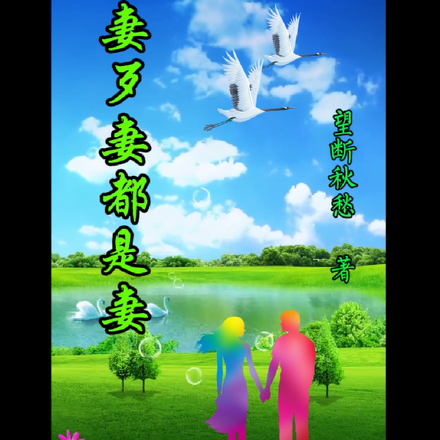 好妻歹妻都是妻