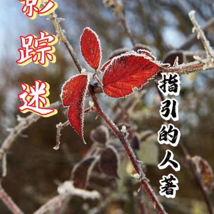 暗影踪迷