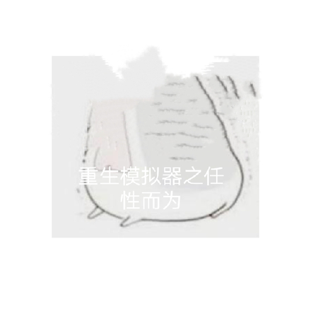 重生模拟器之任性而为