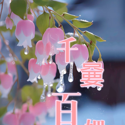 千嘦百媚