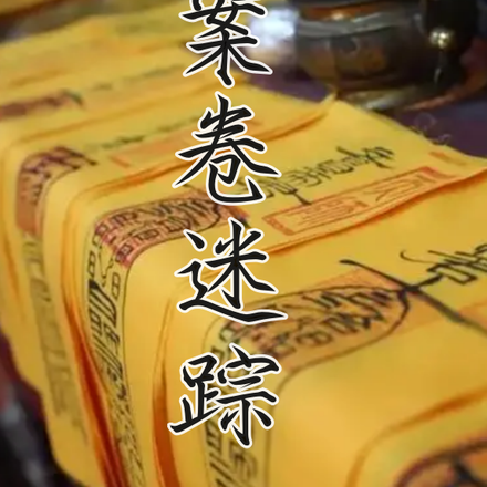 案卷迷踪
