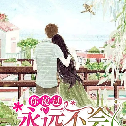 你说过，永远不会离开我