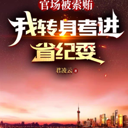 官场被索贿,我转身考进省纪委