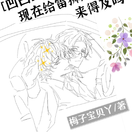【凹凸】现在给雷狮道歉来得及