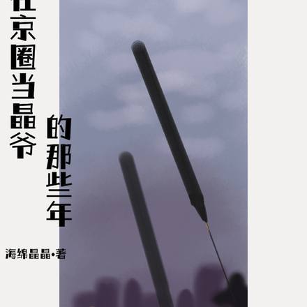 在京圈当晶爷的那些年