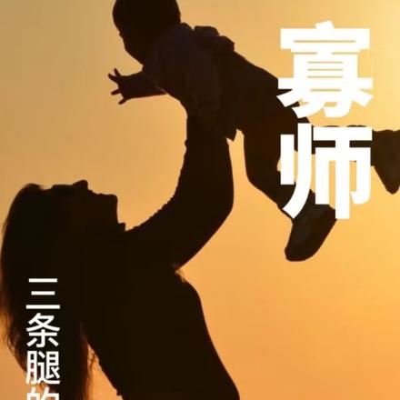寡师