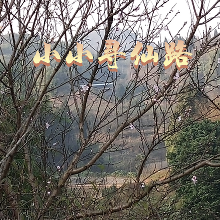 小小寻仙路