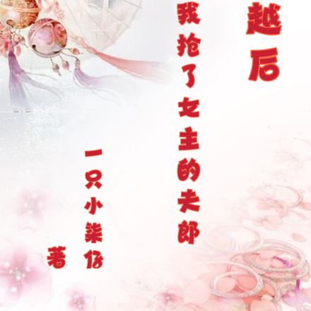 穿越之我抢了女主的夫郎
