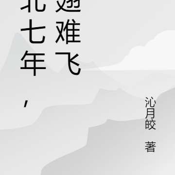 缅北七年,插翅难飞