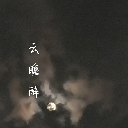 云瞻醉